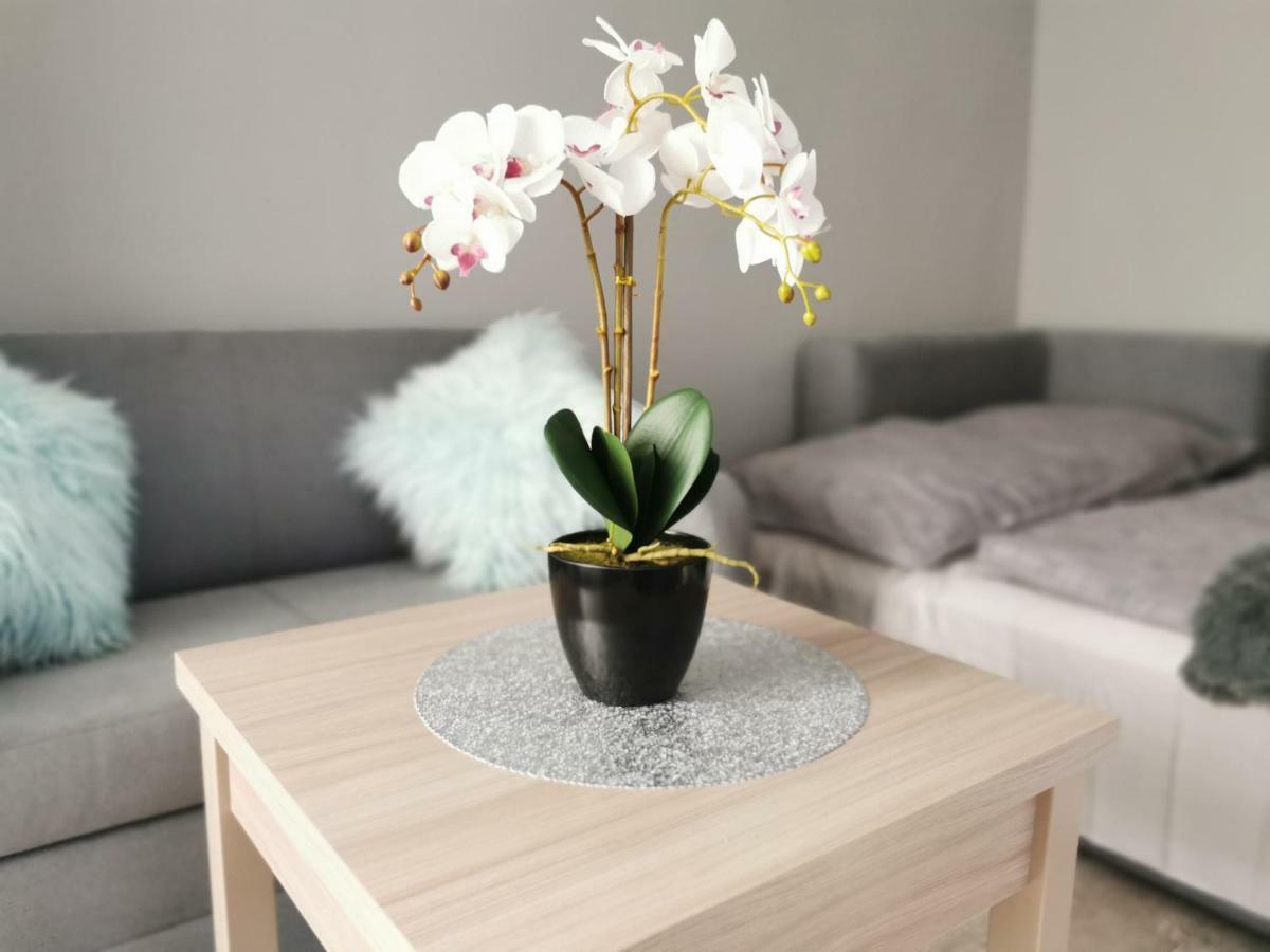 Apartament Gorska 8 - Blisko Centrum Swieradow-Zdroj Ngoại thất bức ảnh